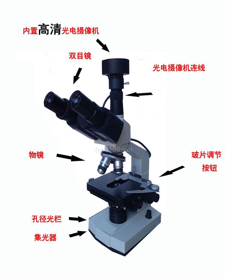 郑州融尚商贸有限责任公司经营的化妆品品牌: