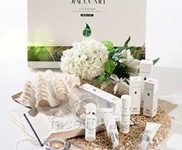 地黄酵素明眸套代理