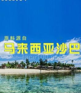 净颜堂海藻酵素代理