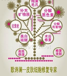 歌诗澜主要功效代理