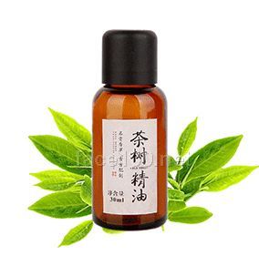茶树精油 30ml改善肌肤 控油祛痘招商代理批发