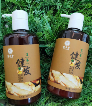 发立芳生姜健发洗发水400ml