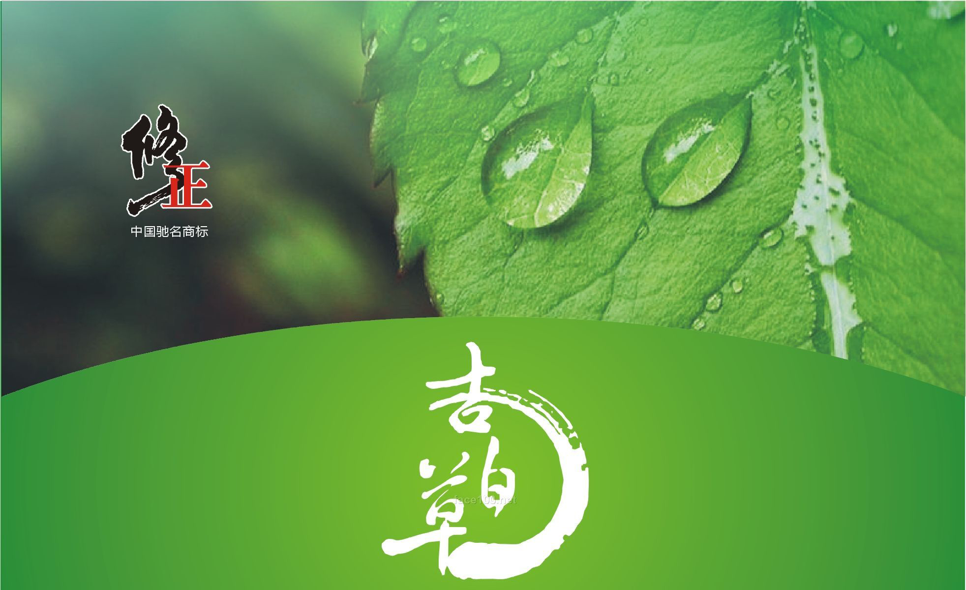 吉百草•薄荷清爽祛痘面膜(中草药系列)