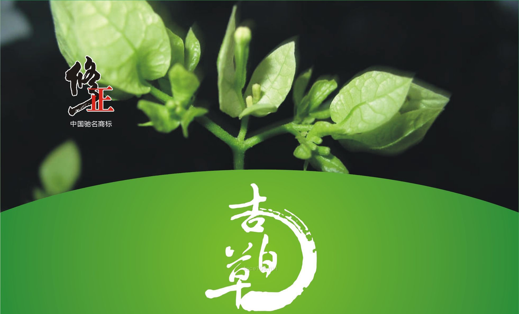 吉百草•白术白皙养颜面膜(中草药系列)
