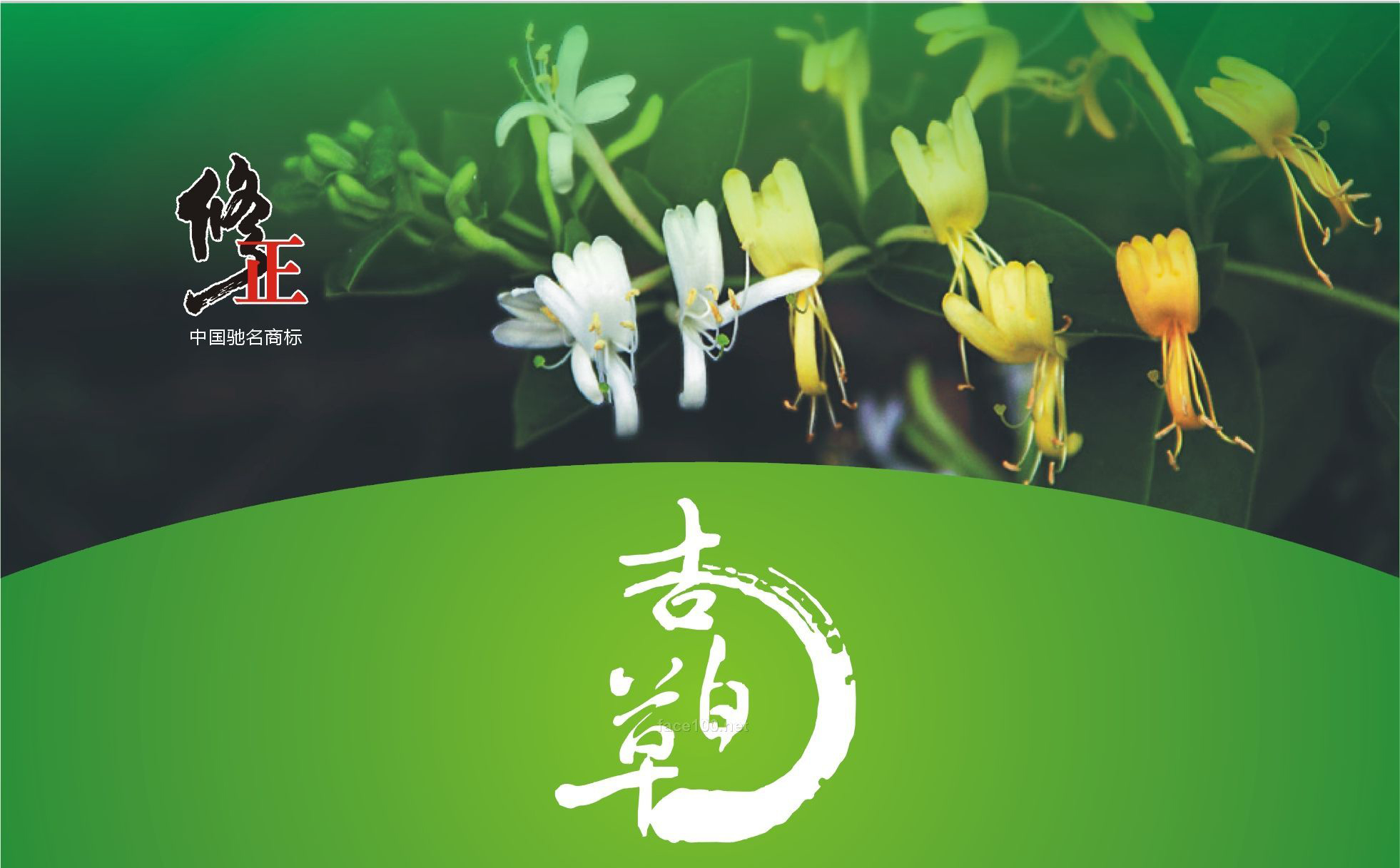 吉百草•金银花防敏柔肤面膜(中草药系列)